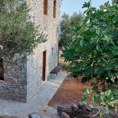 Apartment Tsiliviani *