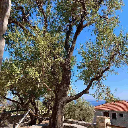 Tsiliviani Apartment